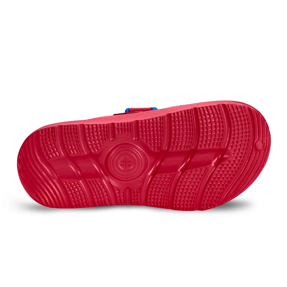 Evolve- Boys Red Dino Water Proof Sandal - Hopits